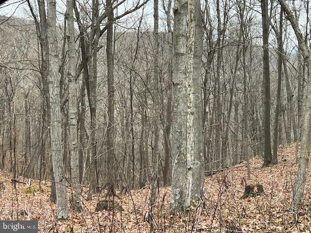 TREELAND HILLS - Land