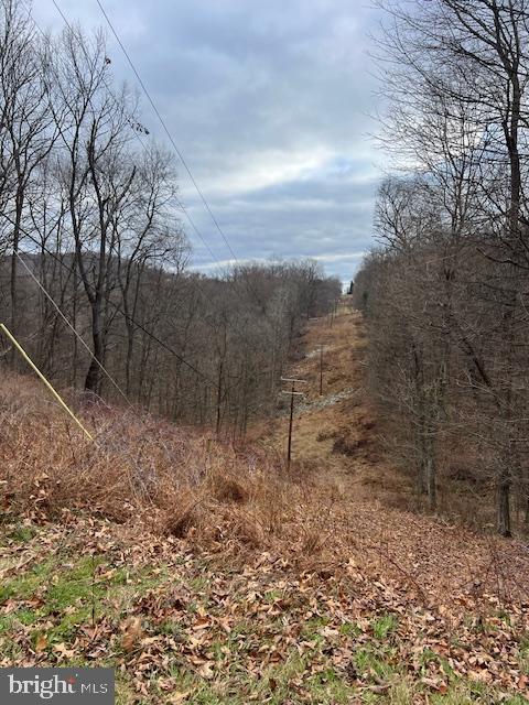 TREELAND HILLS - Land