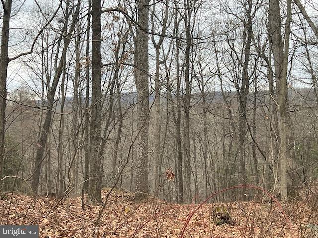 TREELAND HILLS - Land