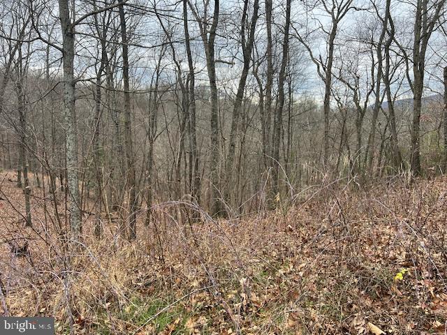 TREELAND HILLS - Land