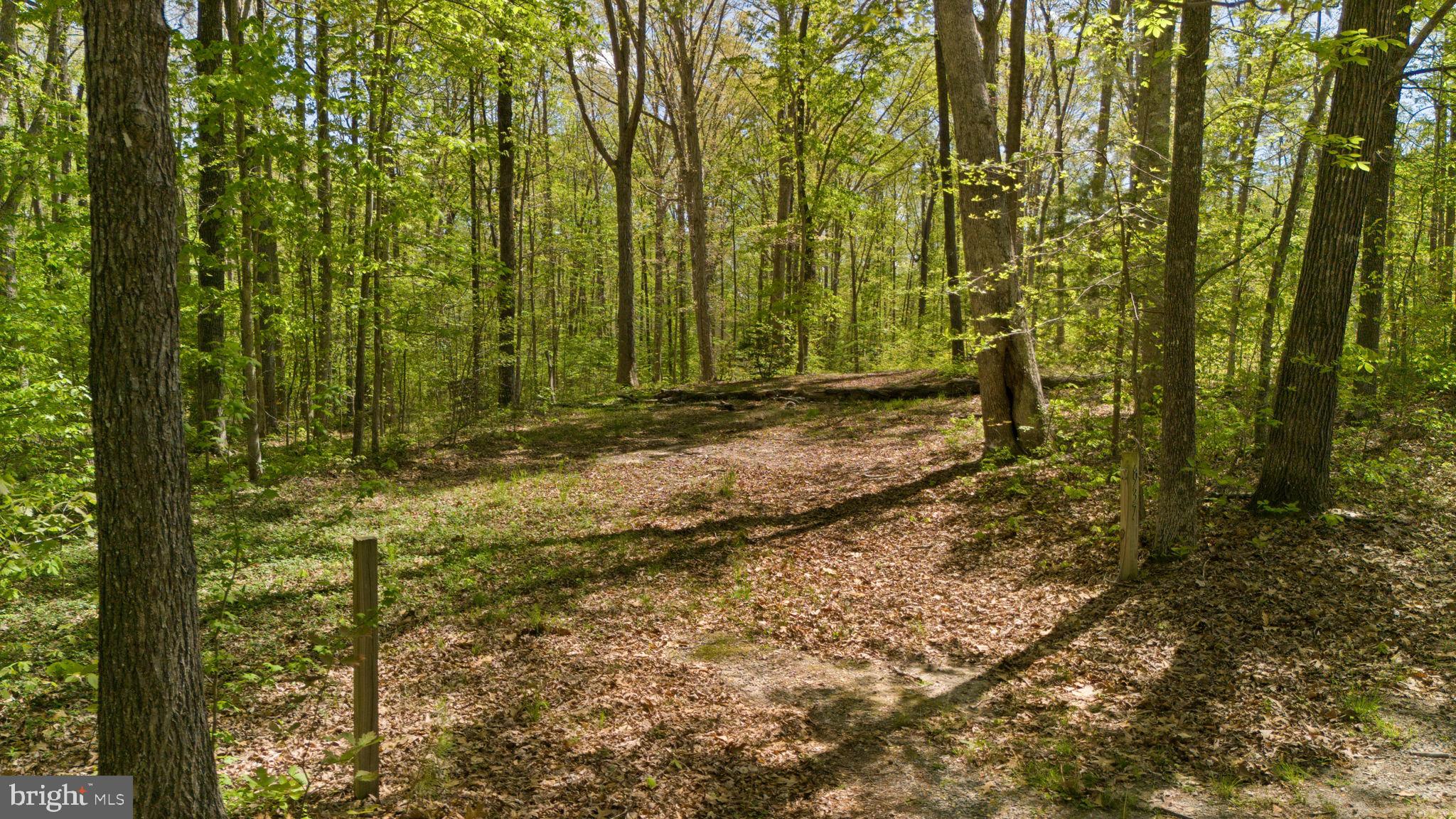 BLOUNTS HARBOUR - Land