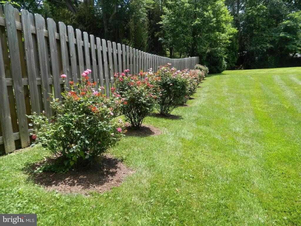 FOXHALL - Residential Lease