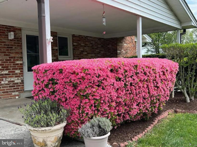 FOXHALL - Residential Lease