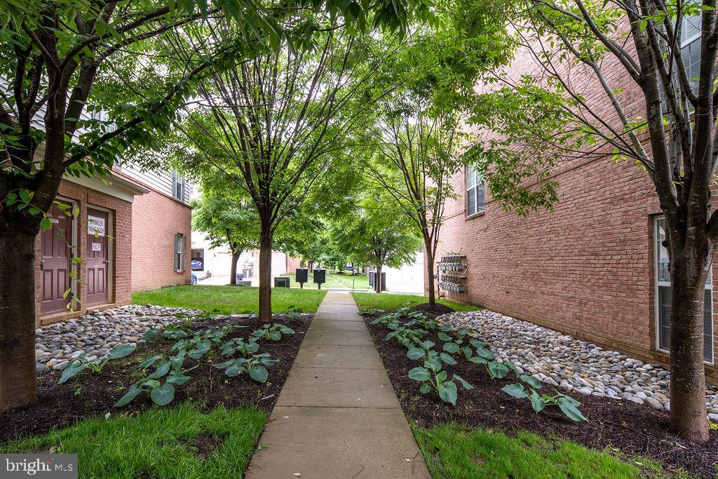 POTOMAC CLUB - Residential