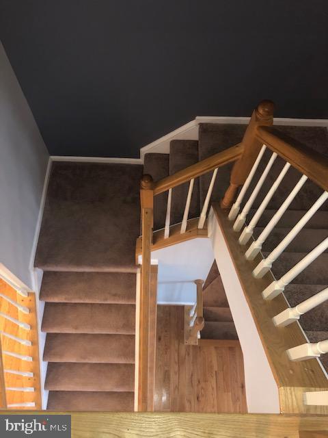 FOREST PARK - Residential Lease