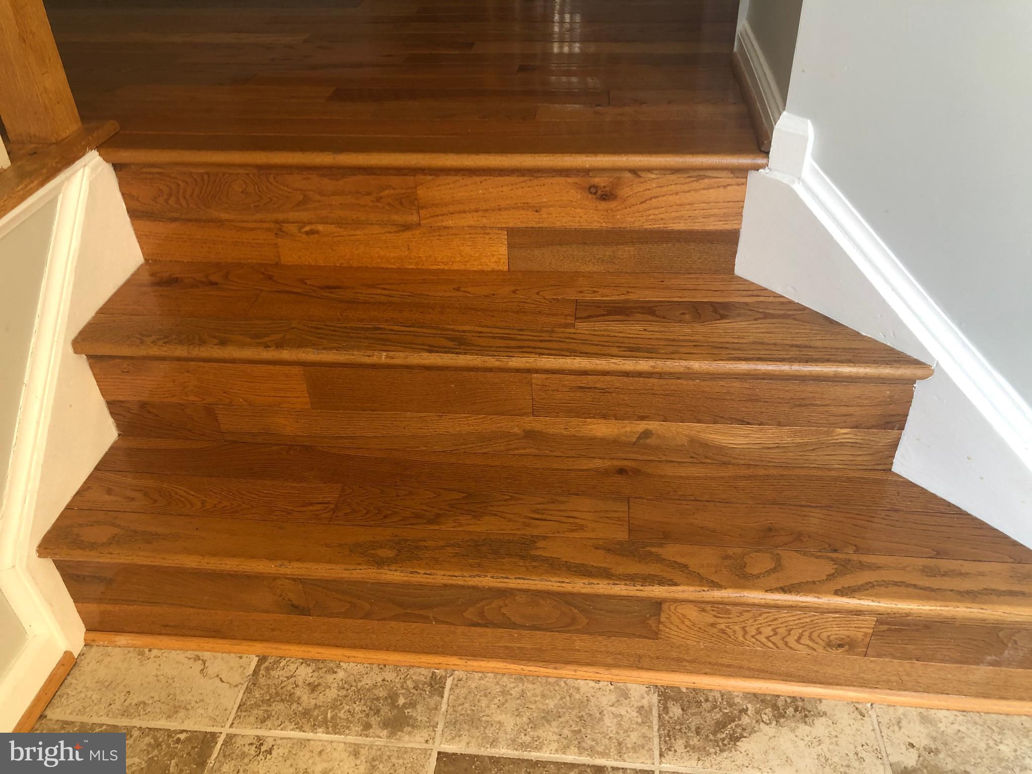 FOREST PARK - Residential Lease