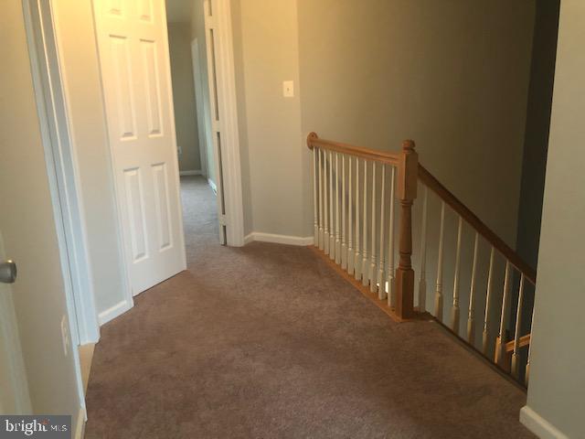 FOREST PARK - Residential Lease