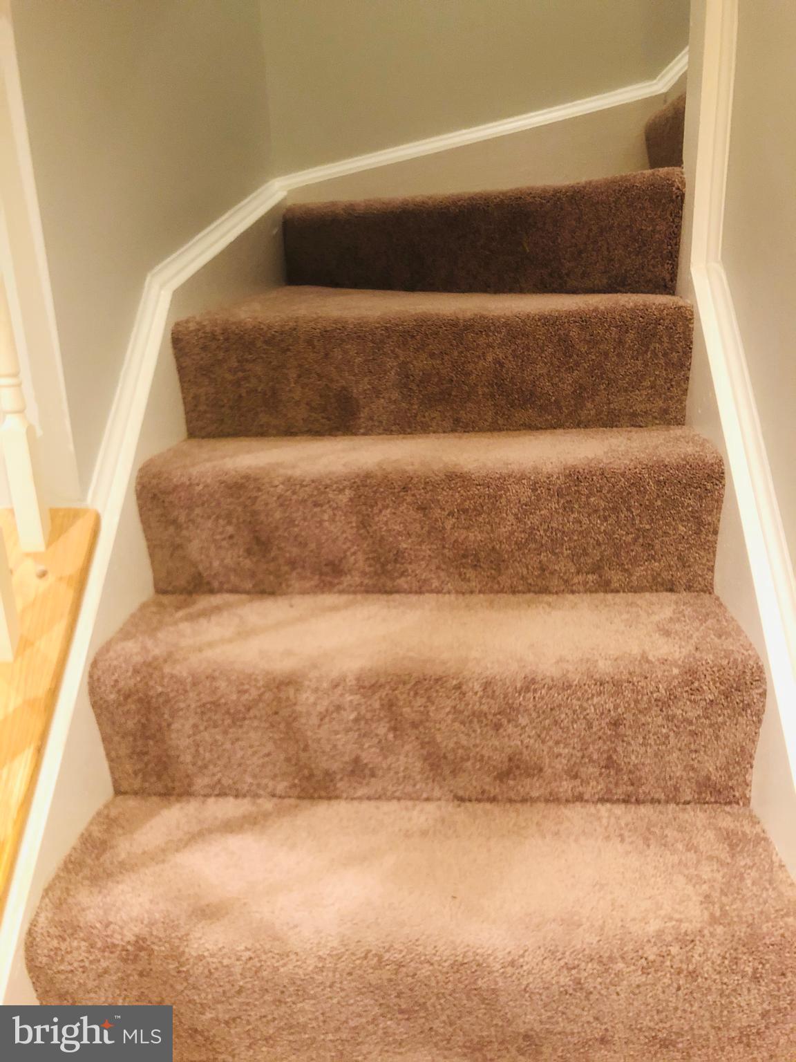 FOREST PARK - Residential Lease