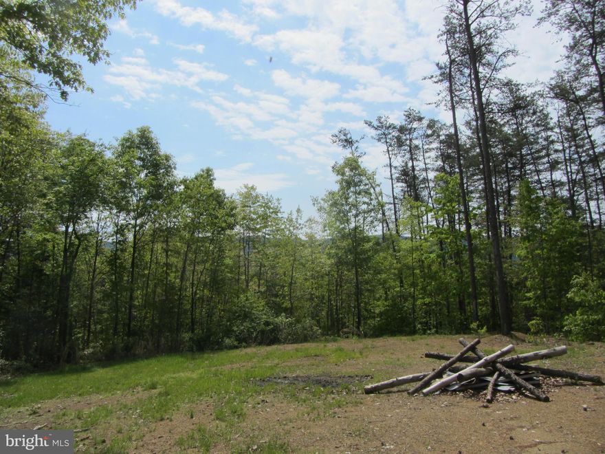 Ready now for your private enjoyment- whether it is a weekend camping or hunting trip to building your dream home.  Mostly hardwoods with a level cleared lot perfect for your homesite.  Fire pit, raised garden bed, creek, hiking trail for you to enjoy. Peace and quiet with beautiful views. National Forest nearby. Survey and 3 BR septic certificate available, VDOT prelim approval for driveway.