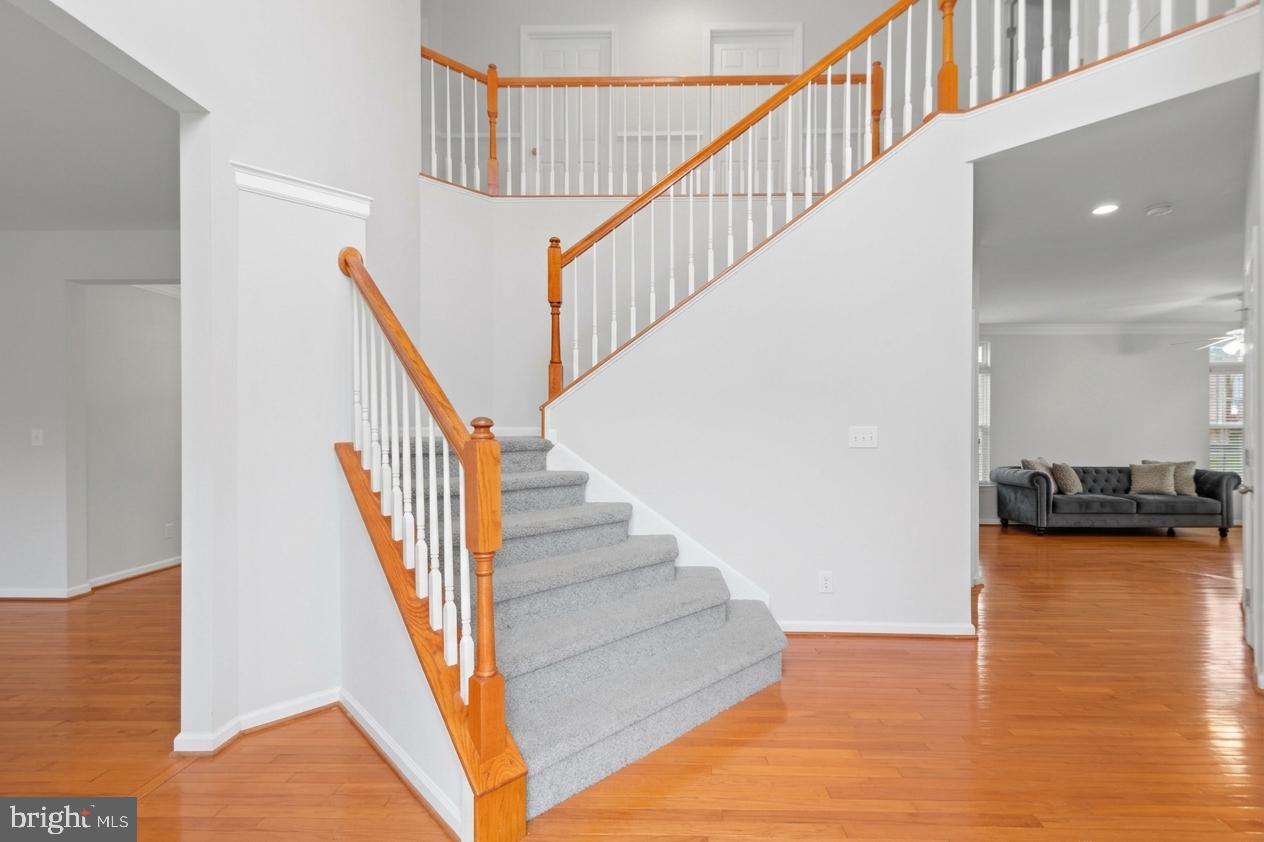 6671 CLARKES MEADOW DRIVE