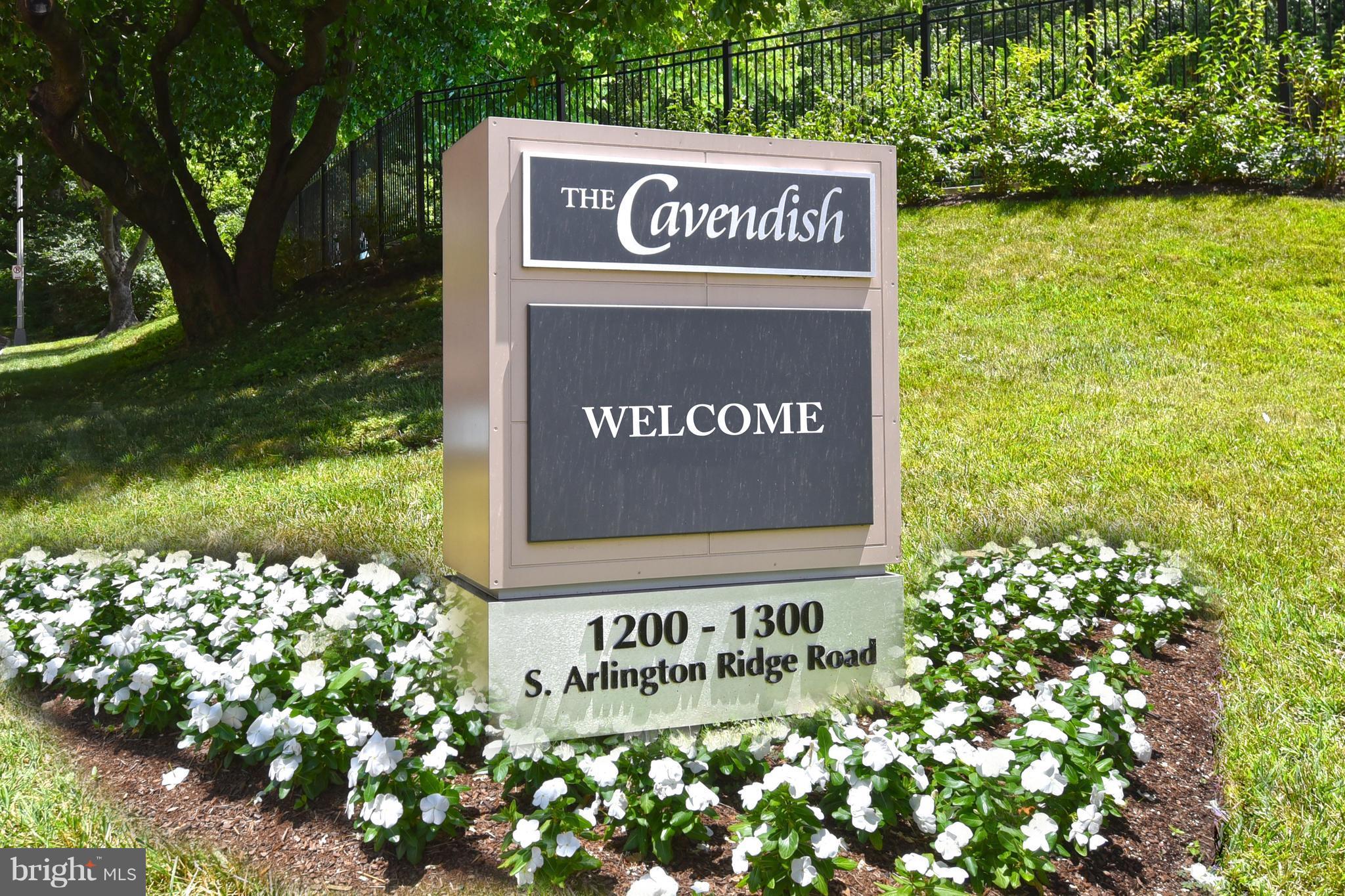 THE CAVENDISH - Residential
