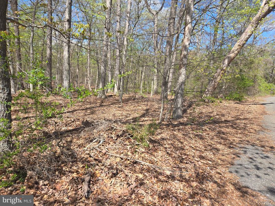 Excellent Development Opportunity Near National Harbor!
This 8.8-acre subdivided lot in Prince George’s County offers endless potential for builders, developers, and investors. Just minutes from MGM Casino, the Wilson Bridge, and Indian Head Highway, this prime location supports a wide range of permitted uses—residential, agricultural, civic, commercial, and even light industrial. Perfect for single-family homes, assisted living, urban agriculture, equestrian facilities, solar farms, and more. All zoning details and subdivision regulations are available in the documents.