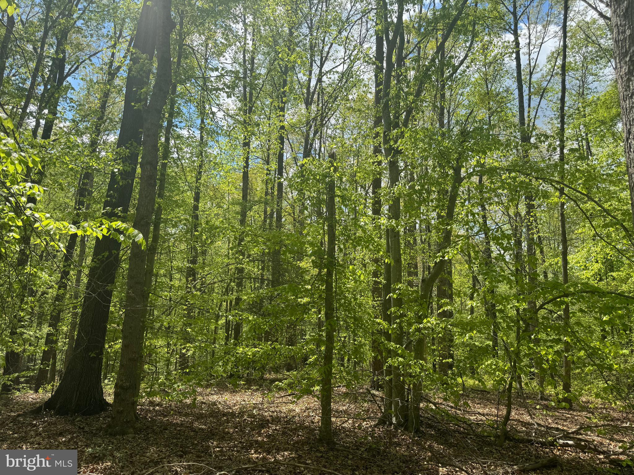 FRESHWATER ESTATES - Land