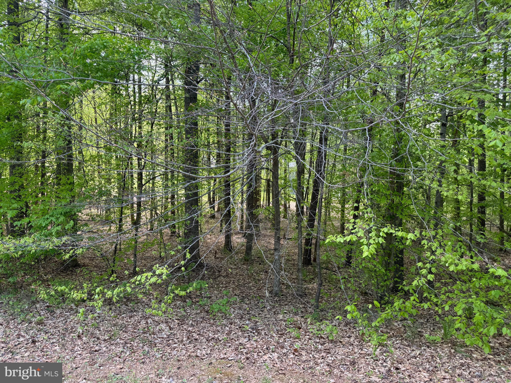 FRESHWATER ESTATES - Land