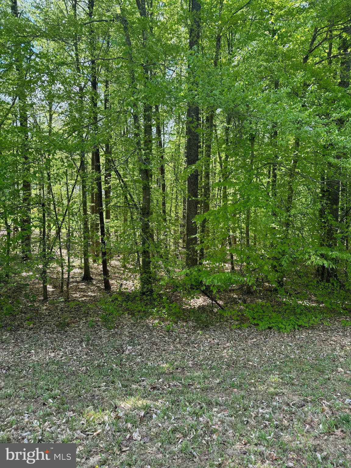 FRESHWATER ESTATES - Land