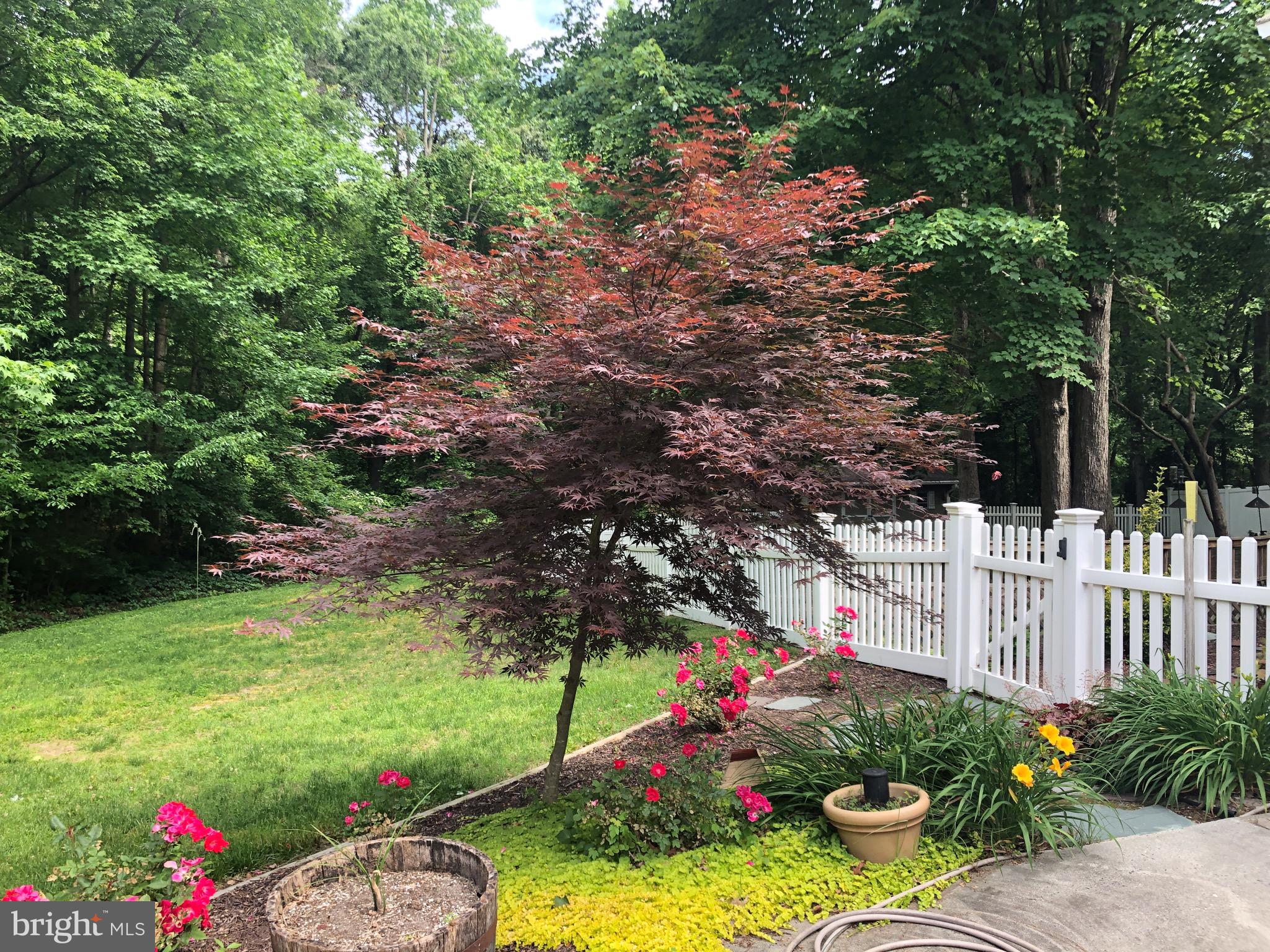 NEVINS MILL - Residential