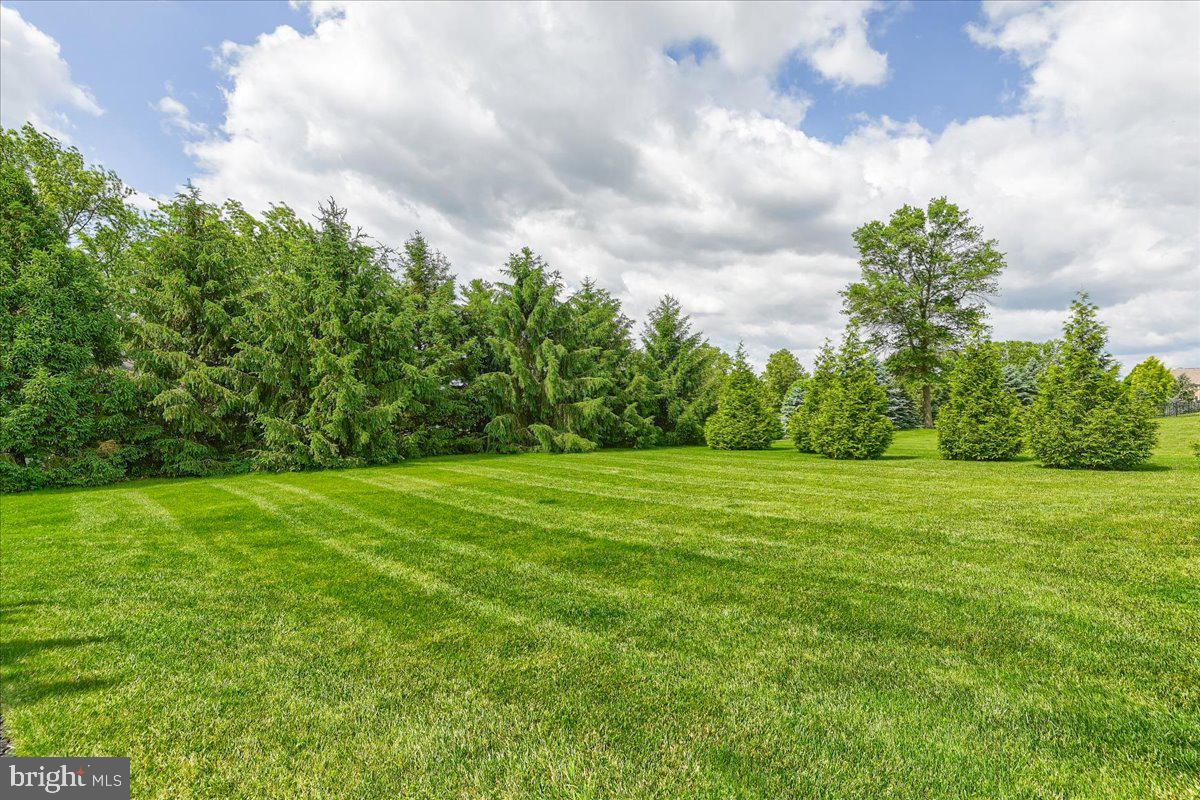 THORNHILL - Residential