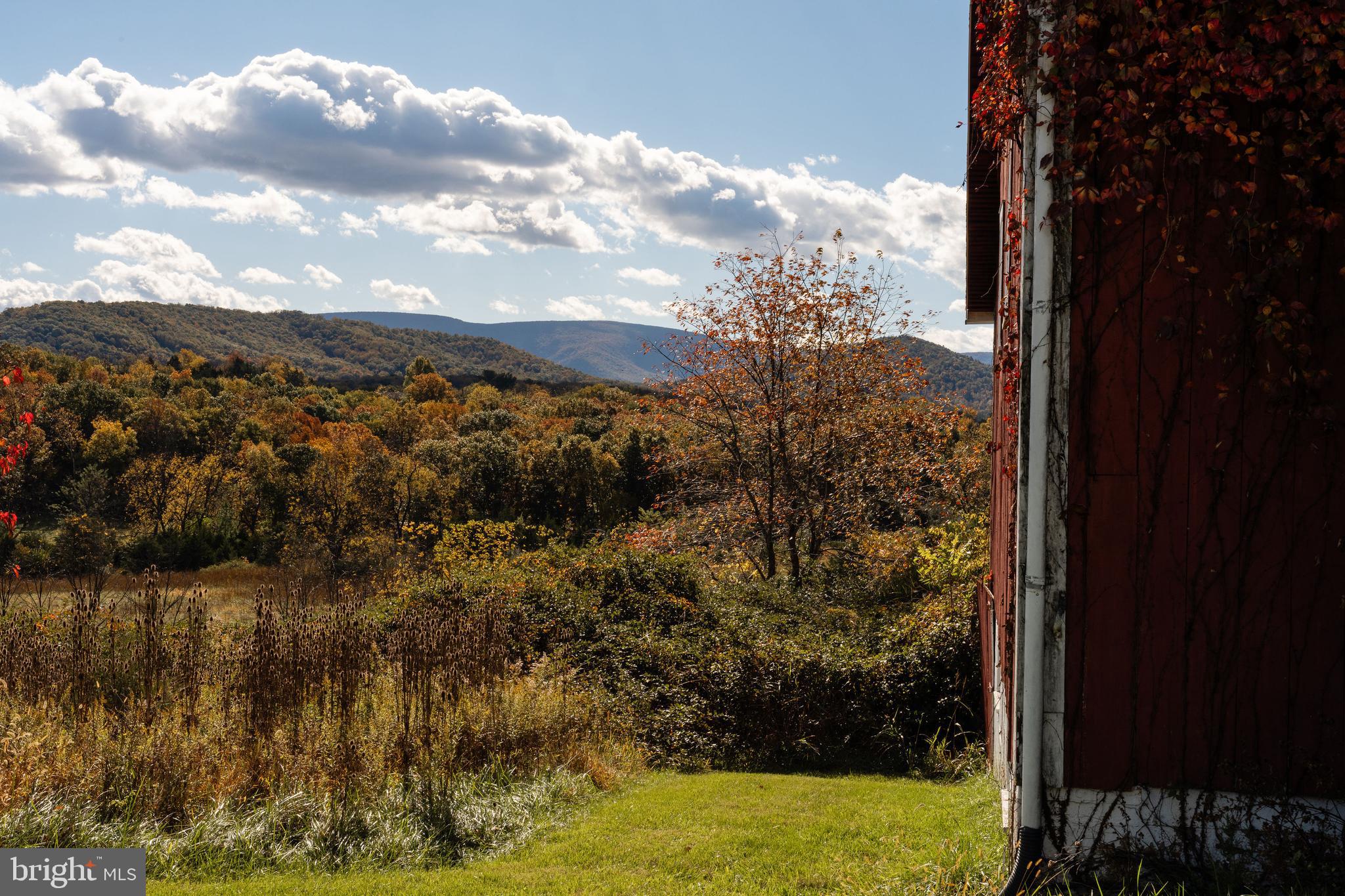 461 THUNDERBIRD ROAD