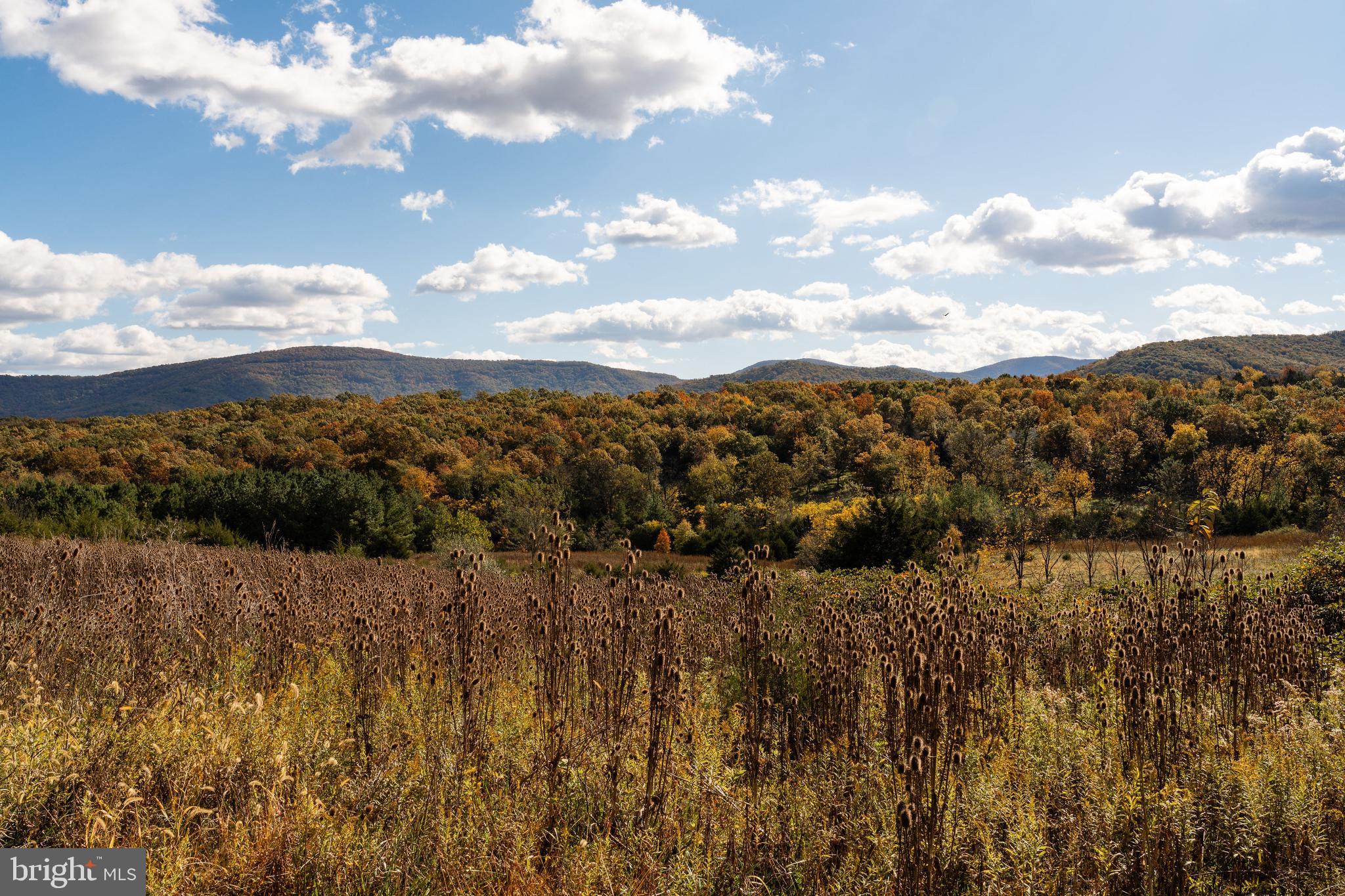 461 THUNDERBIRD ROAD