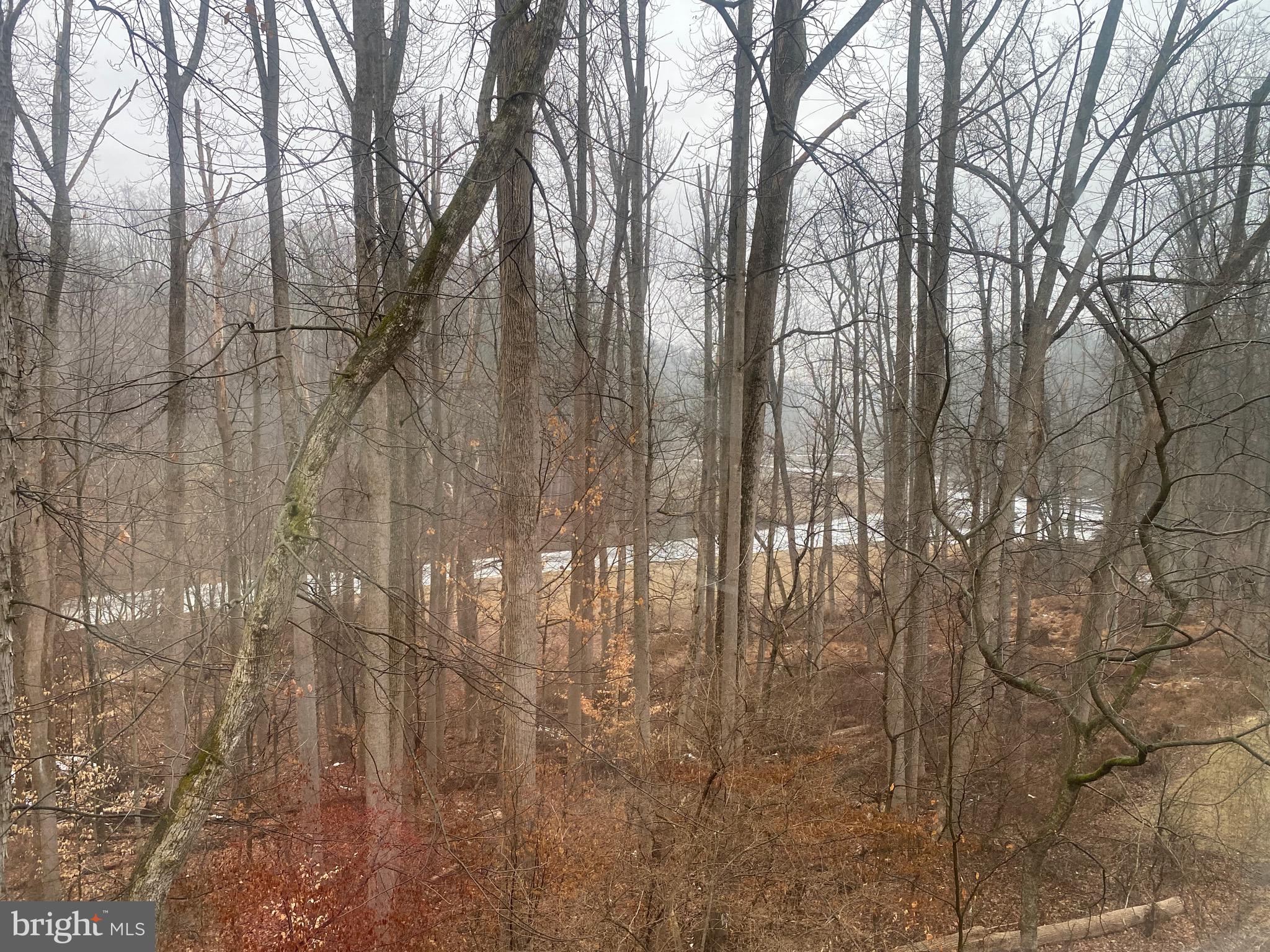 RUNNYMEADE FARMS - Residential