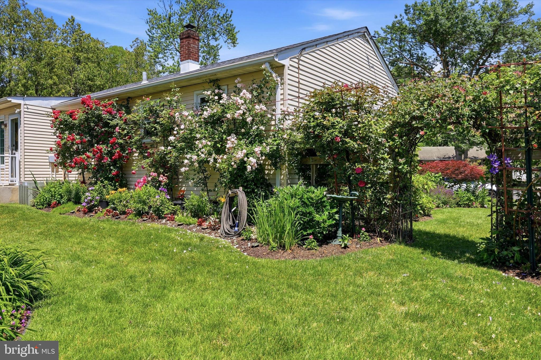 509 OAK DRIVE