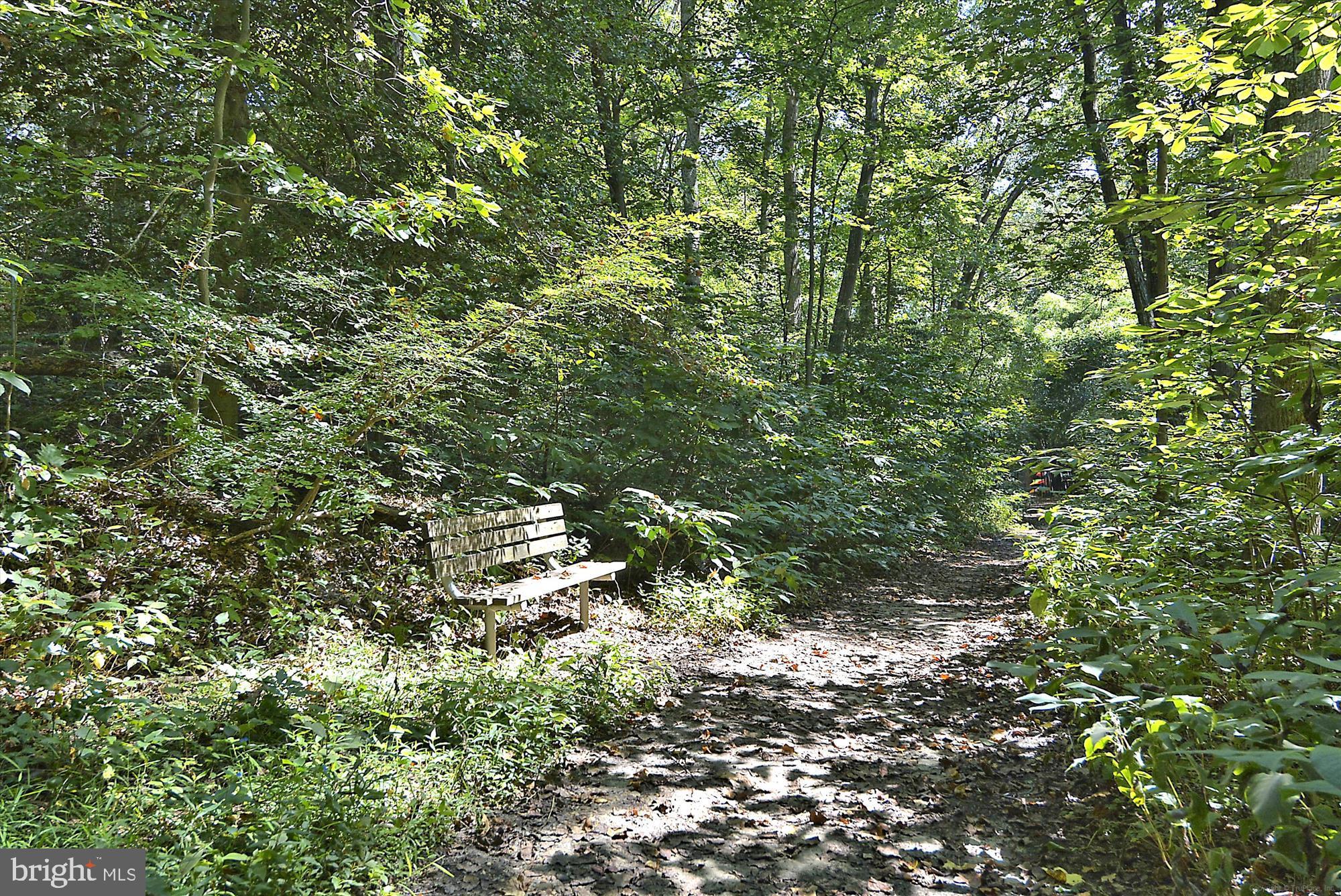 RIVA TRACE - Residential