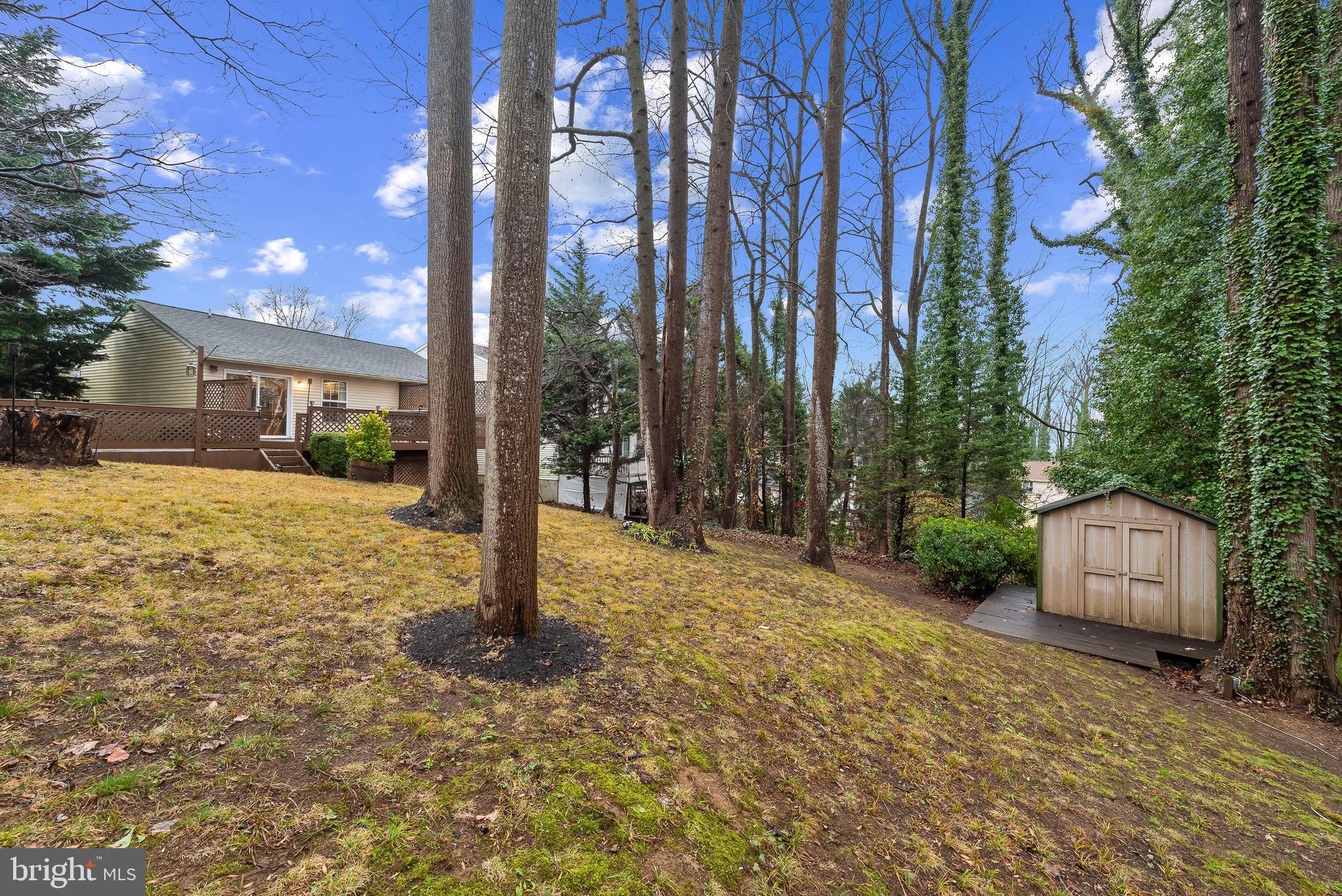 OLD COUNTY ESTATES - Residential