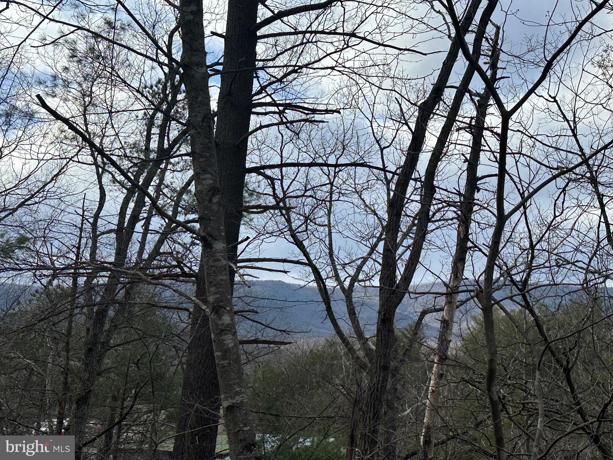 BRYCE  MOUNTAIN  RESORT - Land