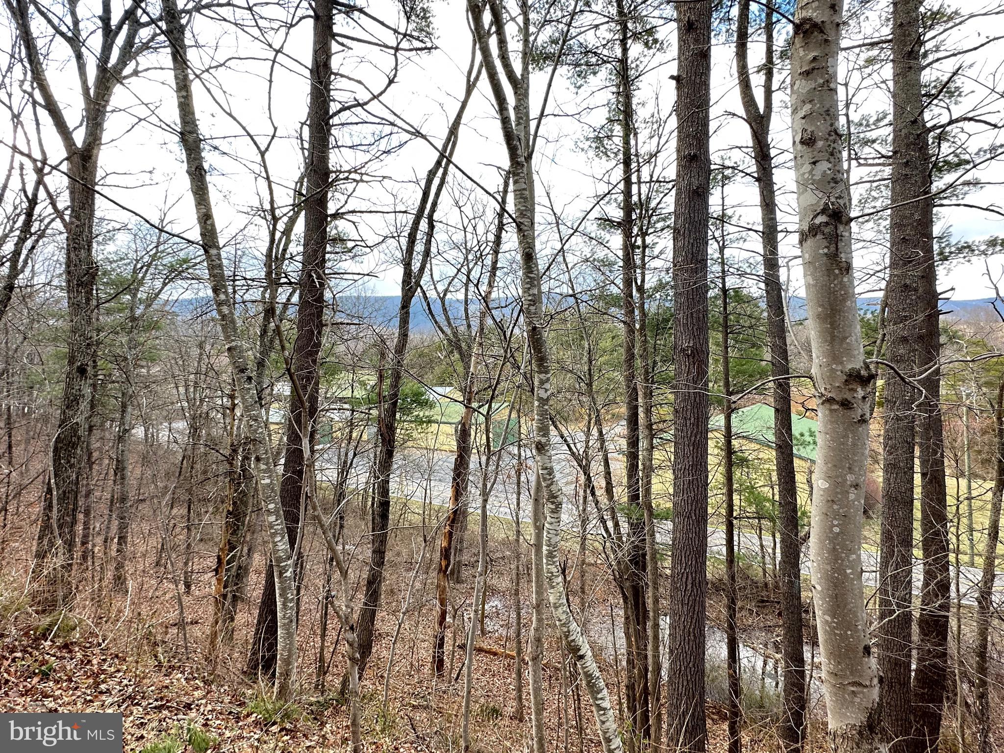 BRYCE  MOUNTAIN  RESORT - Land