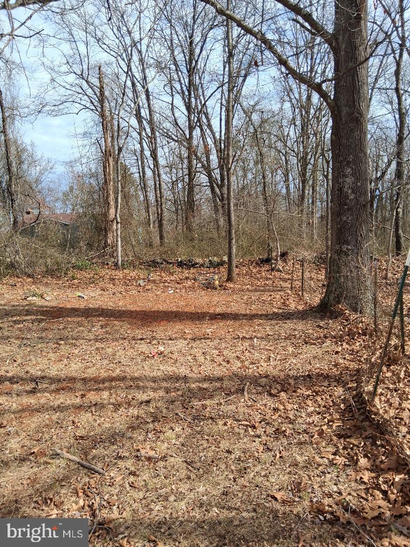 369 ROCK MILLS ROAD A A