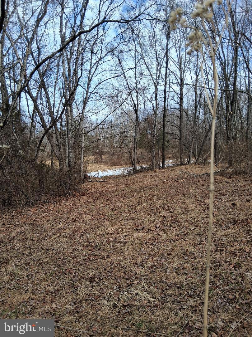 369 ROCK MILLS ROAD A A