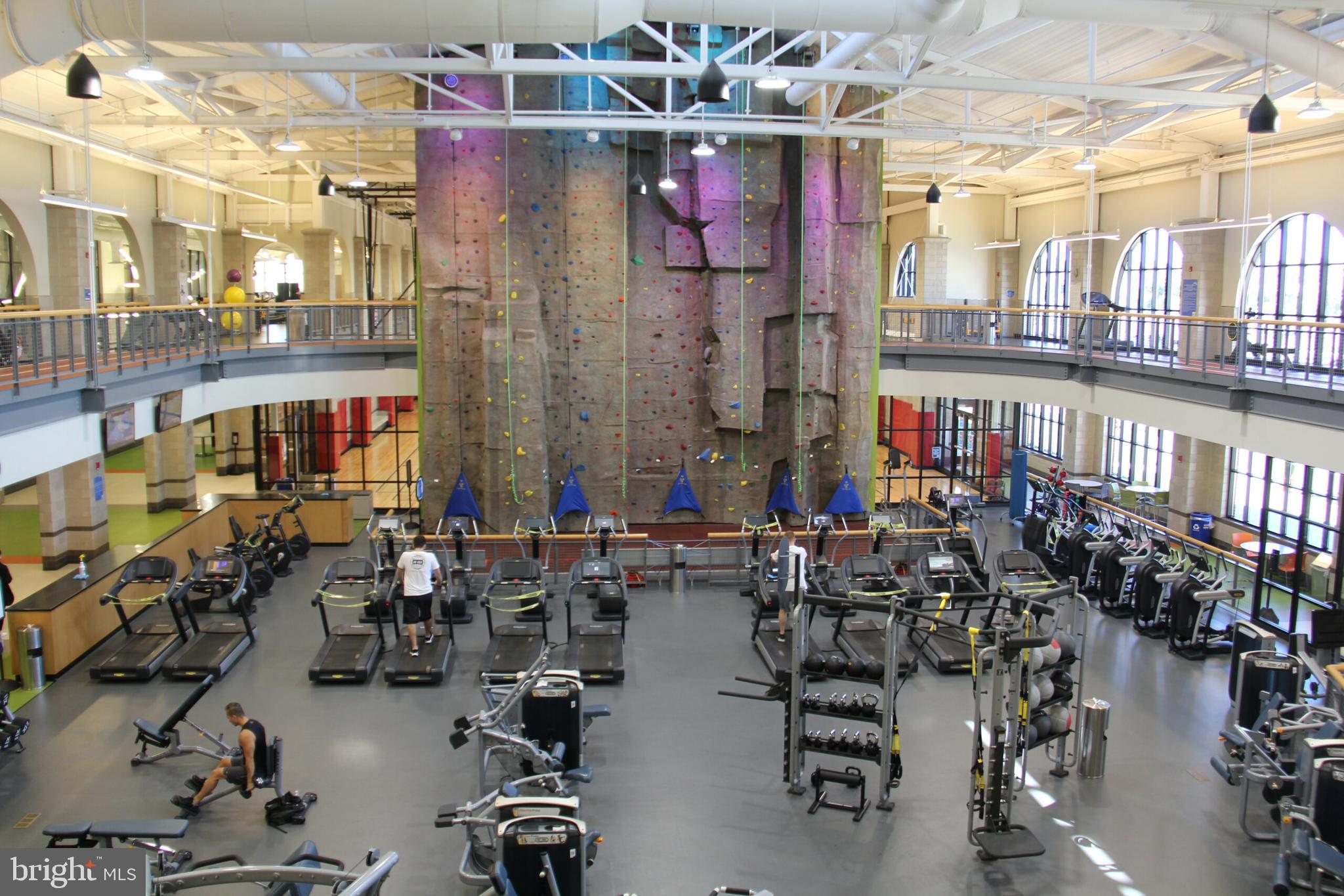 AMBERLEA AT SOUTH RIDING - Residential