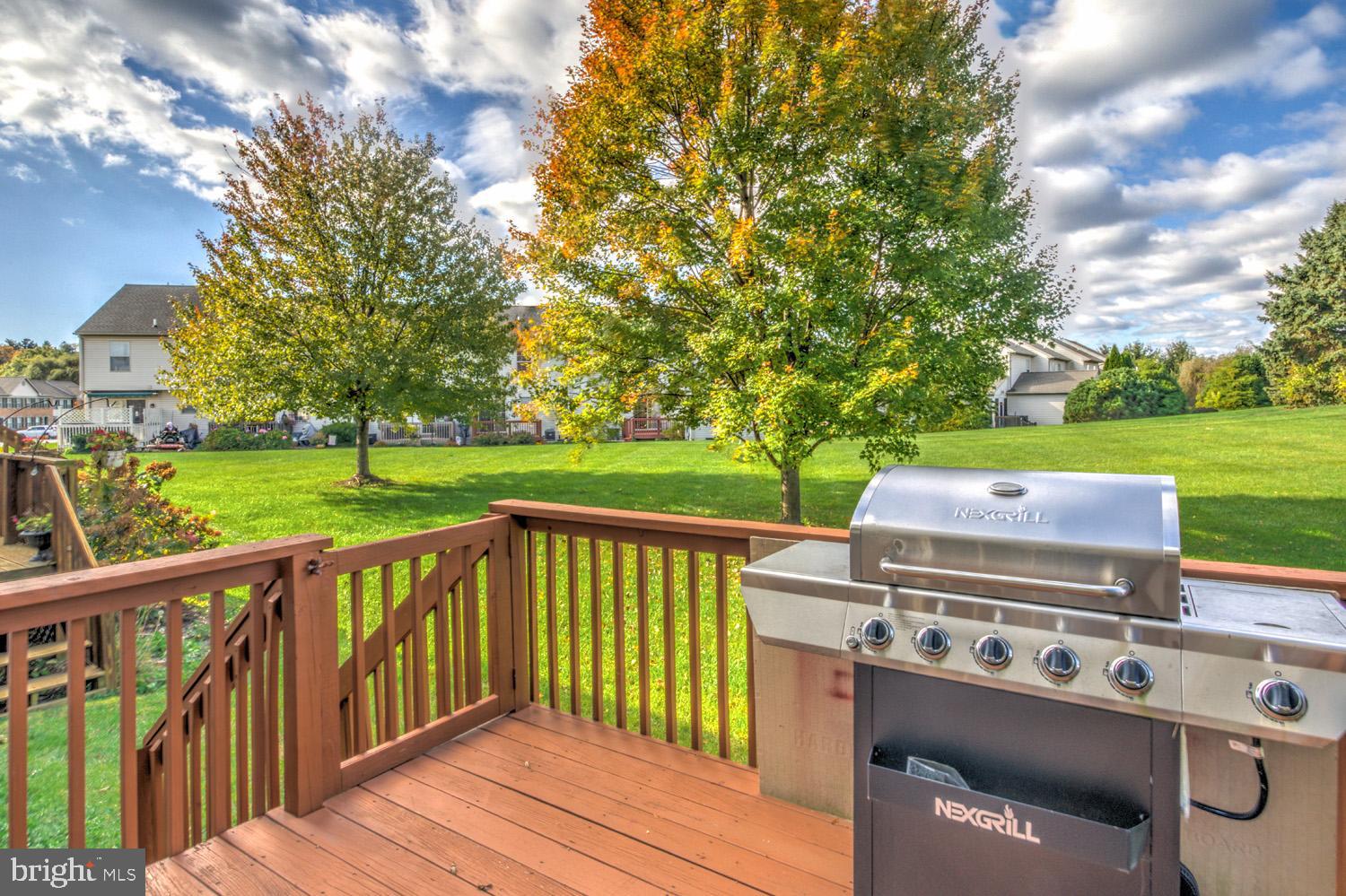 1006 COBBLESTONE LANE
