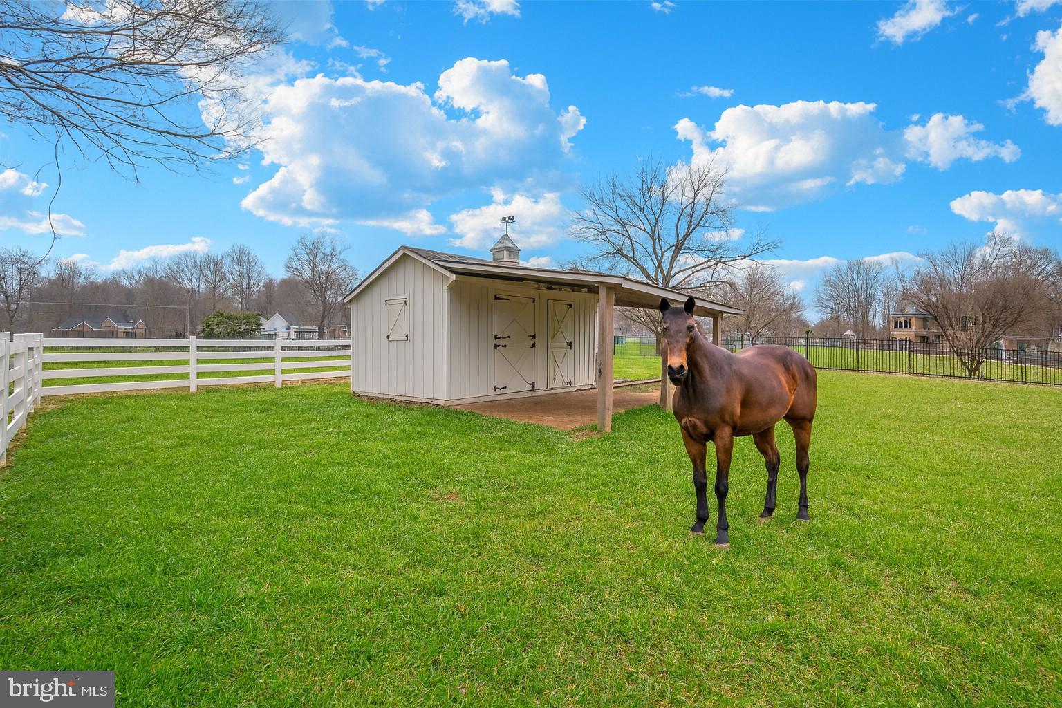 11793 FREDERICK ROAD