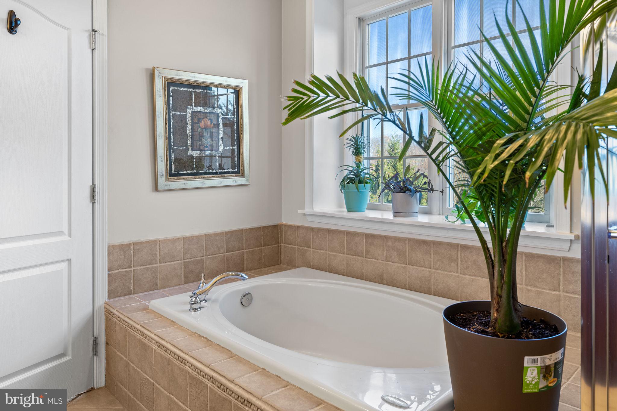 HIGH GATE - Residential