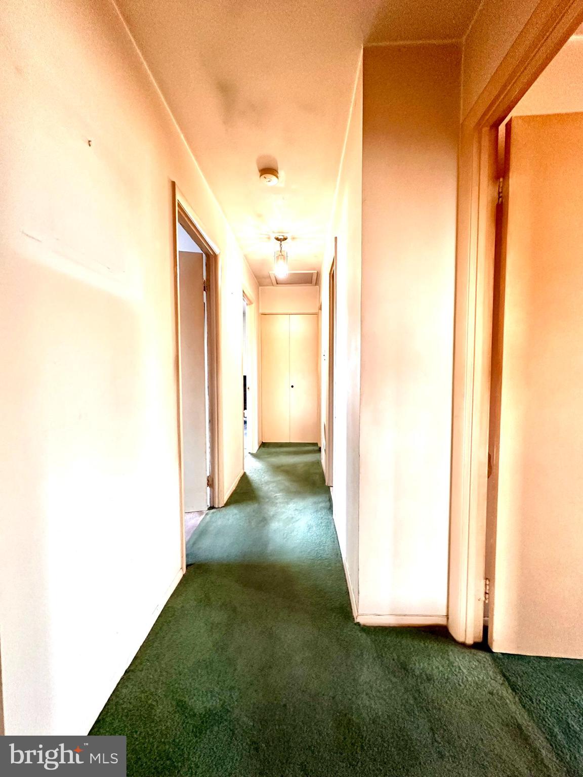 ADELPHI MILL - Residential