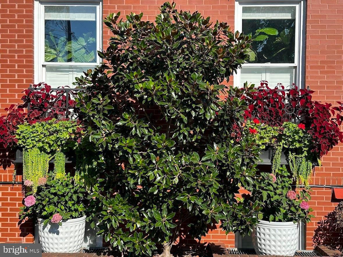 OLD TOWN - Residential