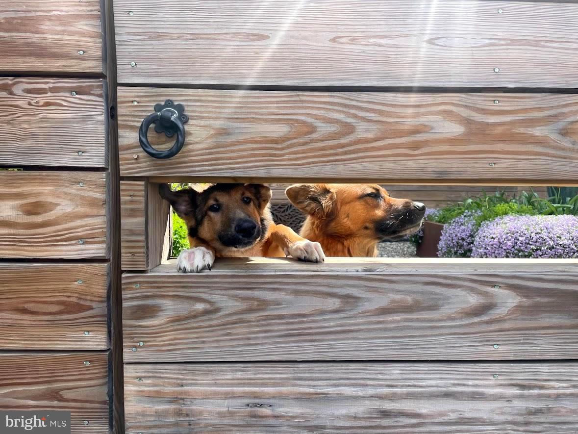 OLD TOWN - Residential