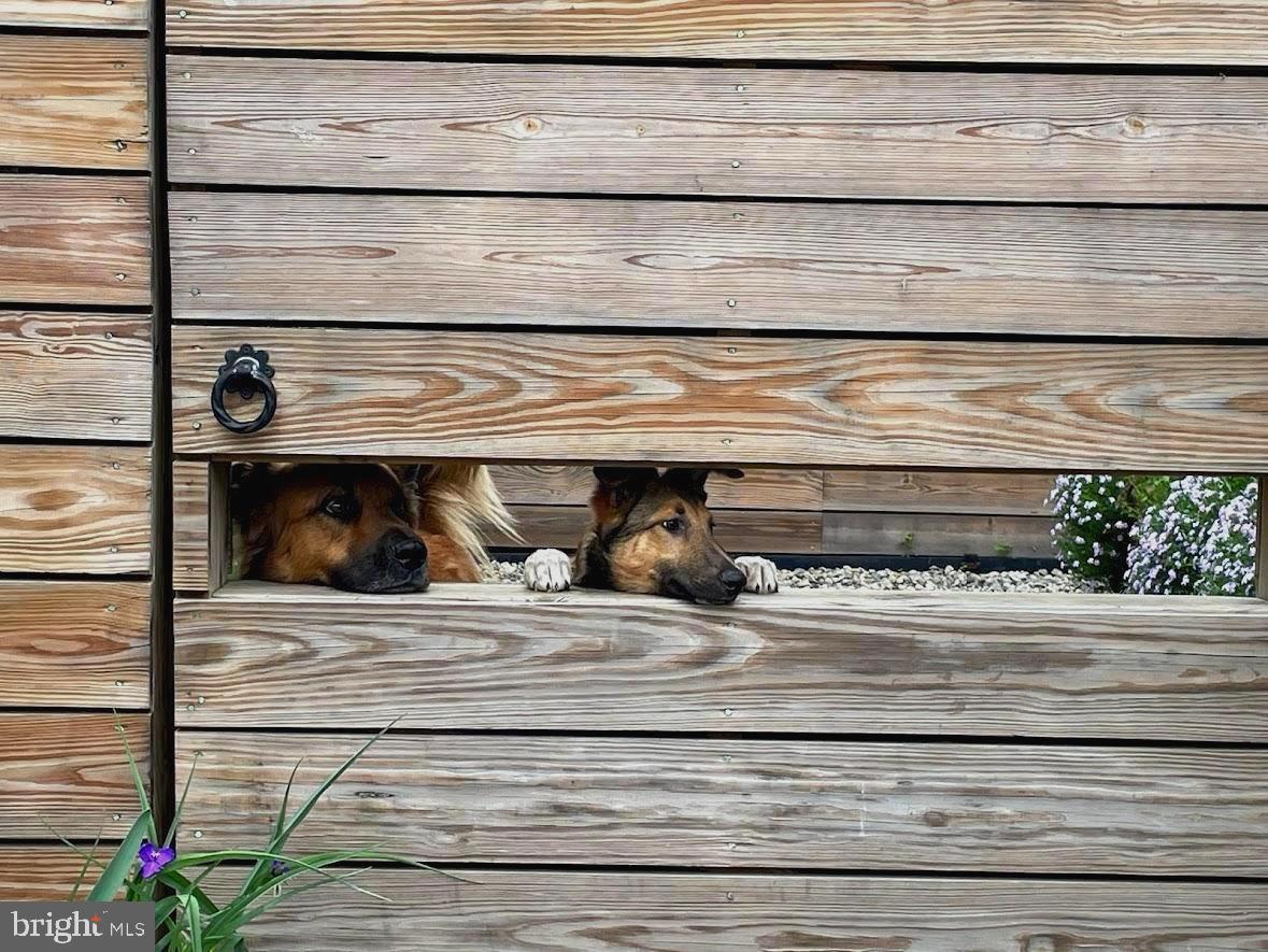 OLD TOWN - Residential