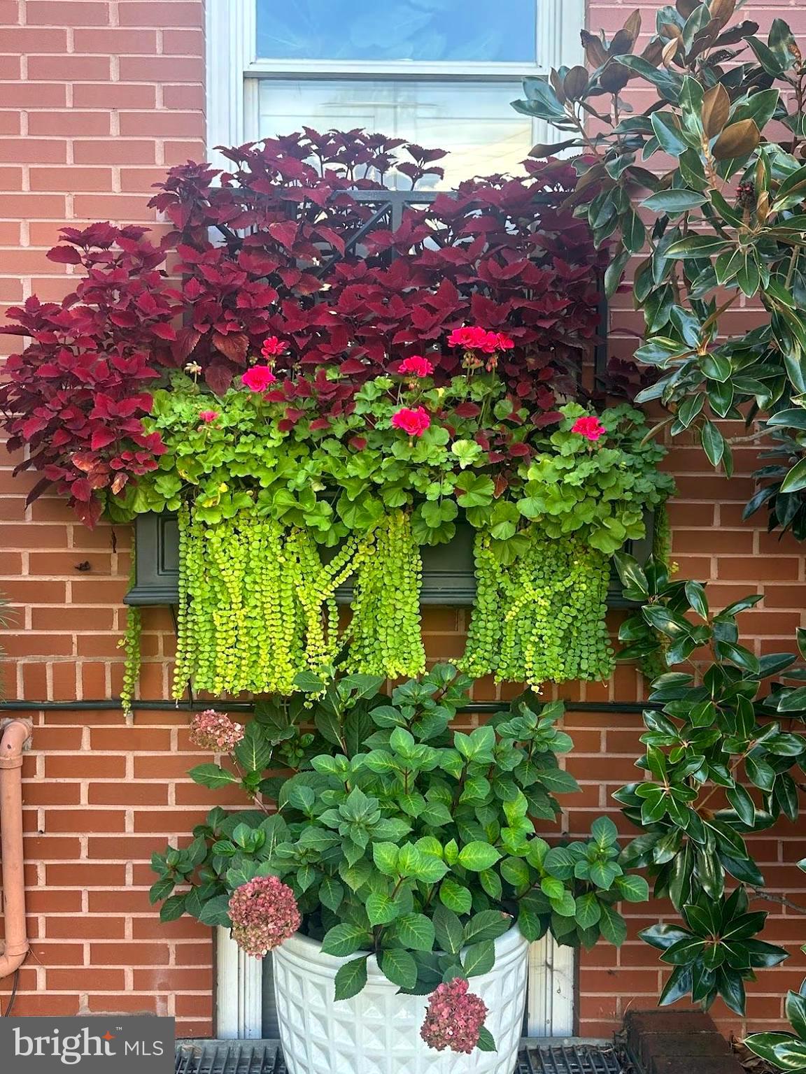 OLD TOWN - Residential