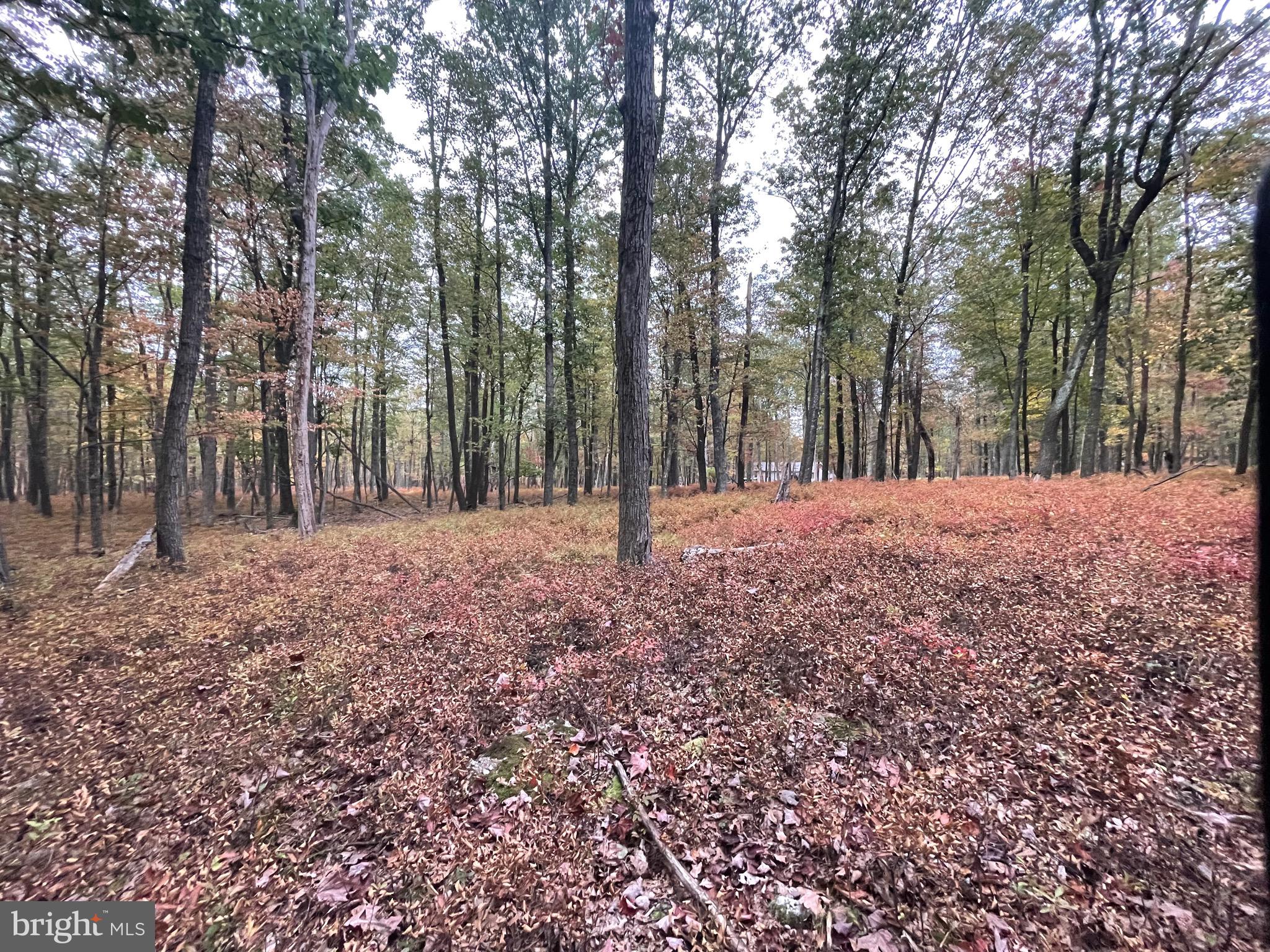 YOU'VE FOUND THE NEEDLE IN THE HAYSTACK! Lovely, large, and best of all, LEVEL, 1.34-acre lot in the COVE VILLAGE COMMUNITY. Dreams do come true and at this price, you can afford to build your second home or your forever home. More than twice the size of the average community lot and situated on a cul de sac, envision building your perfect home here. Even better, there are two adjoining lots also available if you desire even more space! The Cove Village Community is situated in the foothills of the Poconos and only 1 1/2 hours to New York, With easy access to I-81 your commute to Hazleton, Wilkes Barre, or Scranton is a breeze. Bring your own builder and let's get started. Another cost-saving perc of the community is having public water and sewer already in place and ready for you to connect through Aqua of Pa. 750 acres of unoccupied prime hunting, ATV, and snowmobile riding land surround the residential portion of Cove Village and is allocated only for the residents of the community and their guests! Driving through the community, the peace and tranquility will envelop you. At any given moment the deer, turkey, and birds will entertain you in your own backyard. Homes within the community vary from rustic cabins and chalets to traditional ranch or two-story homes and even exquisite new construction or dreamy mountain log homes. There really is something for everyone. The approximately 278 acres of residential homes and lots are occupied by full-time residents, part-time vacation homes, and even some snowbird second homes. Cove Village offers an abundance of amenities including a swimming pool, stocked fishing lake, a basketball court, tennis courts, a volleyball court, 2 playgrounds, a baseball field, ATV paths, hunting, a mini golf course, walking paths, and year-round Community events. I can't forget to mention the beautiful lodge ideal to rent for family gatherings. This lot and community just might be exactly what you've been looking for. Air B and B are not permitted. Camping on vacant lots is not permitted. Mobile homes are not permitted. The minimum square footage when building is 1400 square feet. The community maintains the roads and snow removal. Trash collection is also provided. An appointment is required to view due to the gated community. Call to schedule your tour today!
