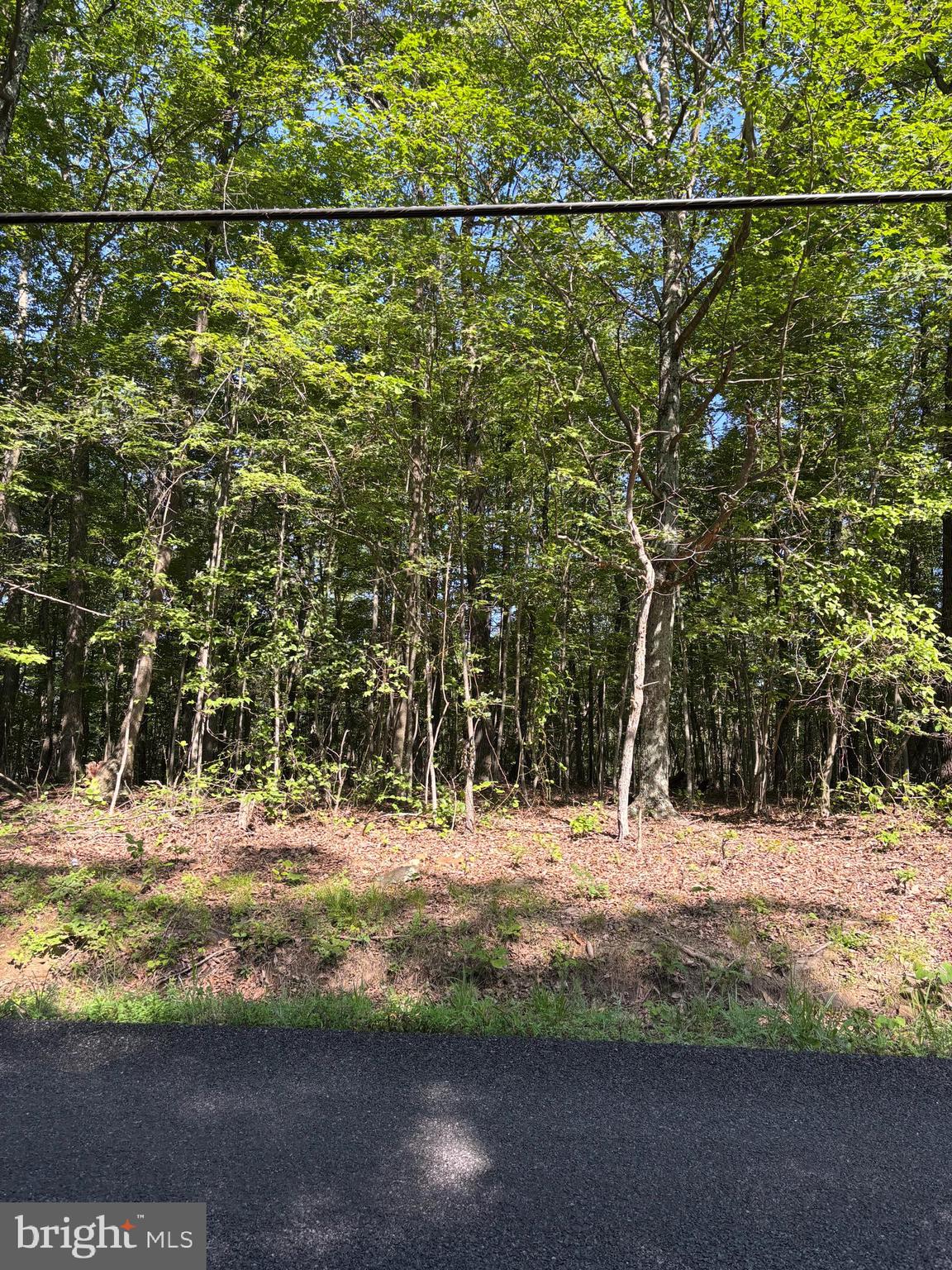 Beautiful, unrestricted, all useable land and a stream on this nice 8.461 unrestricted acres along a state-maintained road. Possible mountain views from the back yard with the removal of some trees. Seller just had the property surveyed and is working on getting a perc and driveway permit. Just pick your house spot and start your construction. Build out front and ride 4 wheelers in the back or put up your tree stand. Approx. 200 feet of road frontage on Detour rd. which makes it easy commuting to work or to town for your needs