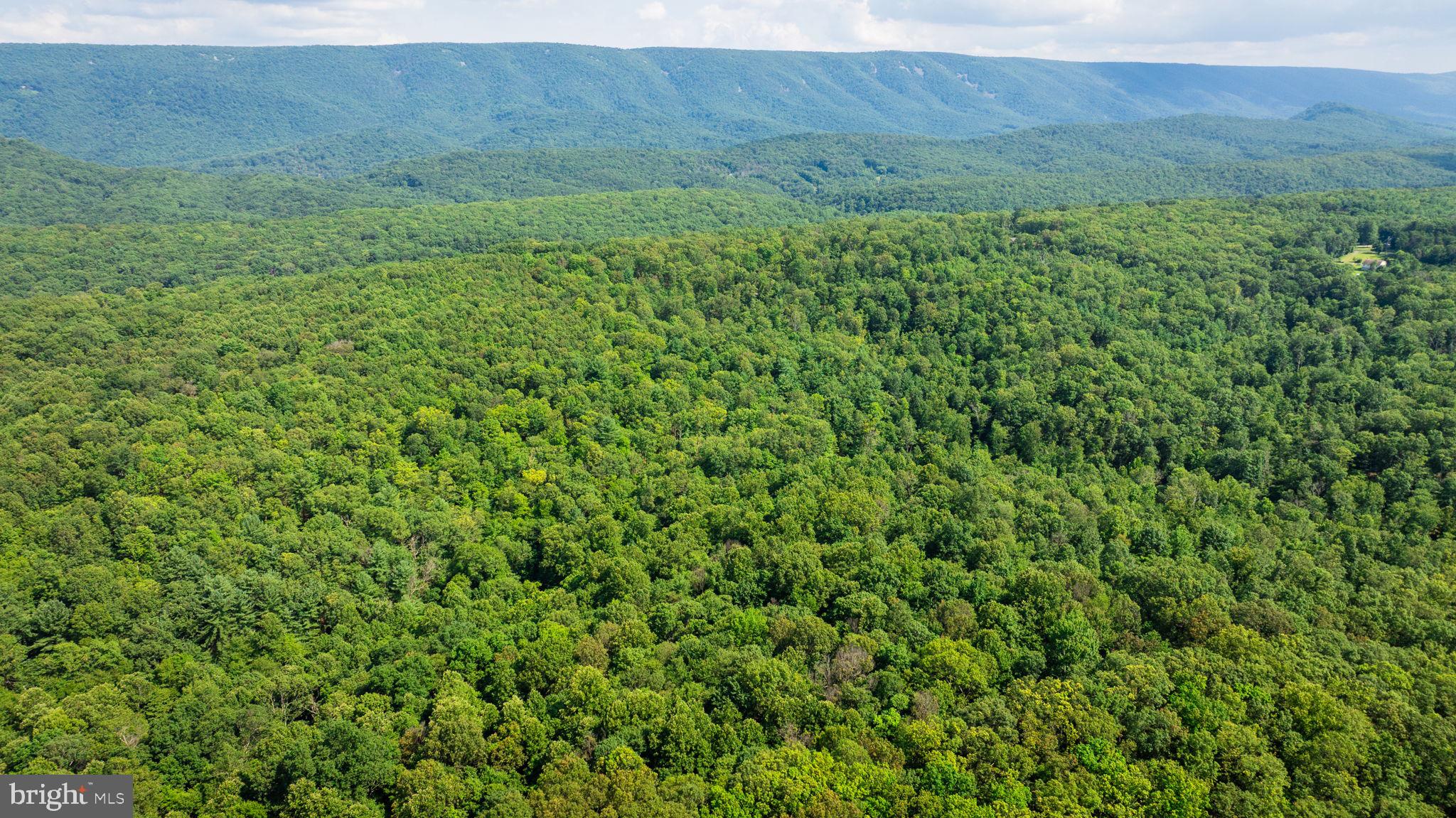 NONE AVAILABLE - Land