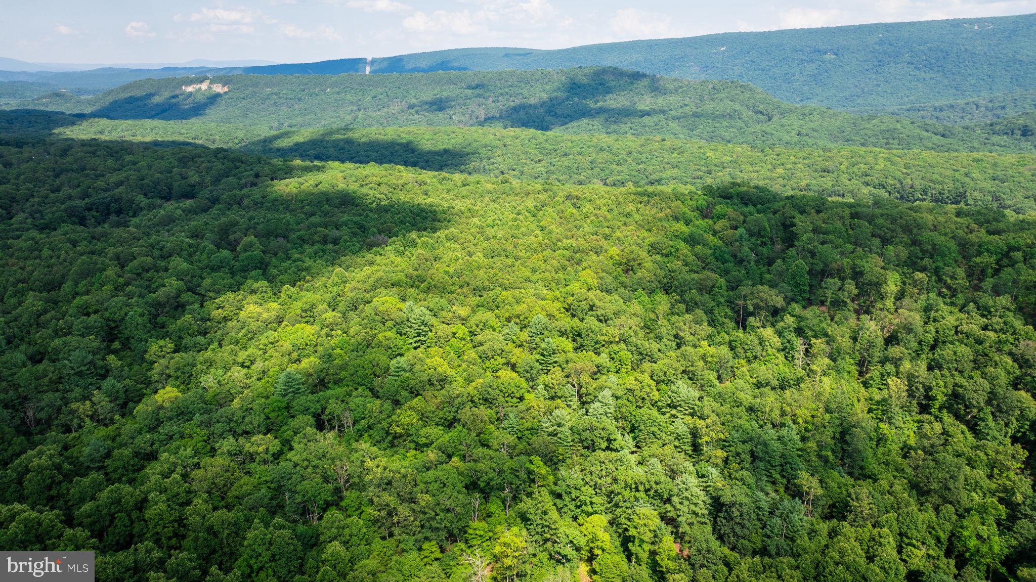 NONE AVAILABLE - Land