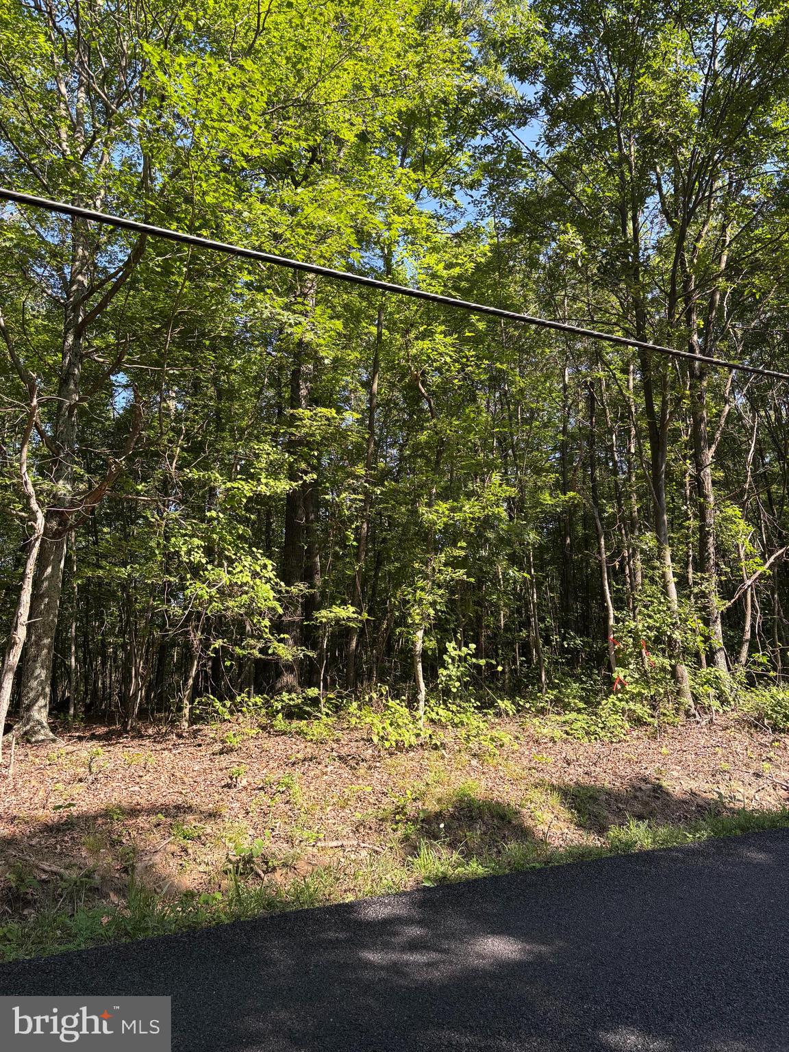 NONE AVAILABLE - Land