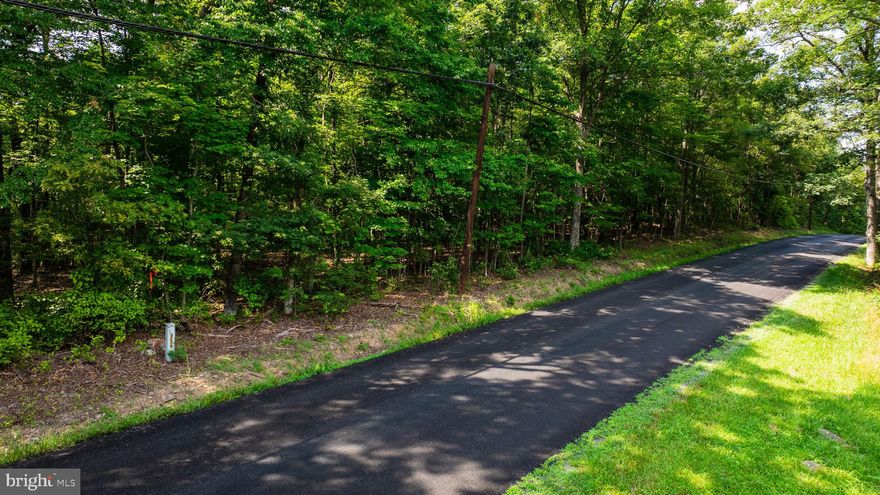 Beautiful, unrestricted, all useable land and a stream on this nice 8.461 unrestricted acres along a state-maintained road.  Possible mountain views from the back yard with the removal of some trees.  Seller just had the property surveyed and is working on getting a perc and driveway permit.  Just pick your house spot and start your construction.  Build out front and ride 4 wheelers in the back or put up your tree stand.  Approx. 200 feet of road frontage on Detour rd. which makes it easy commuting to work or to town for your needs