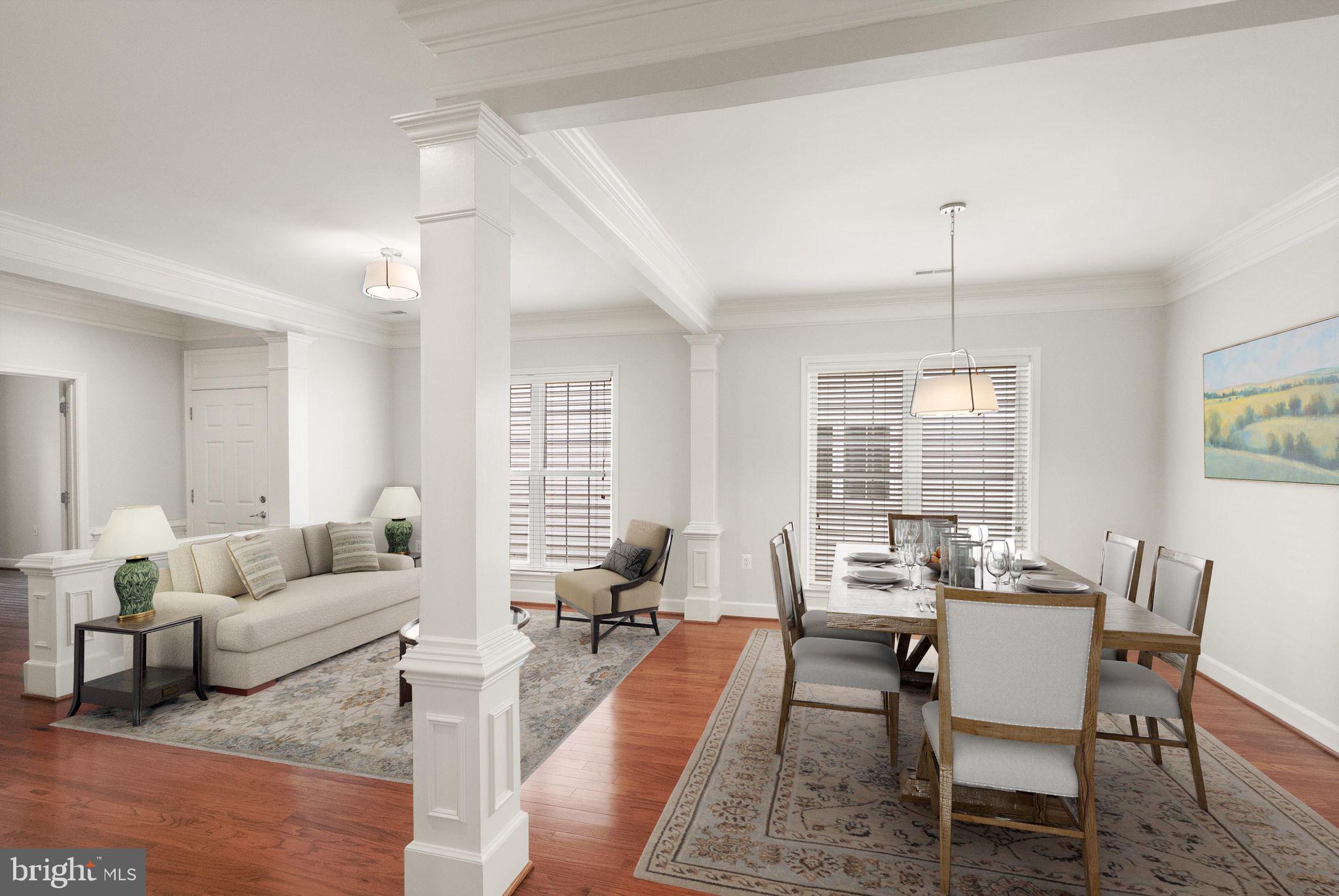 44461 BLUERIDGE MEADOWS DRIVE