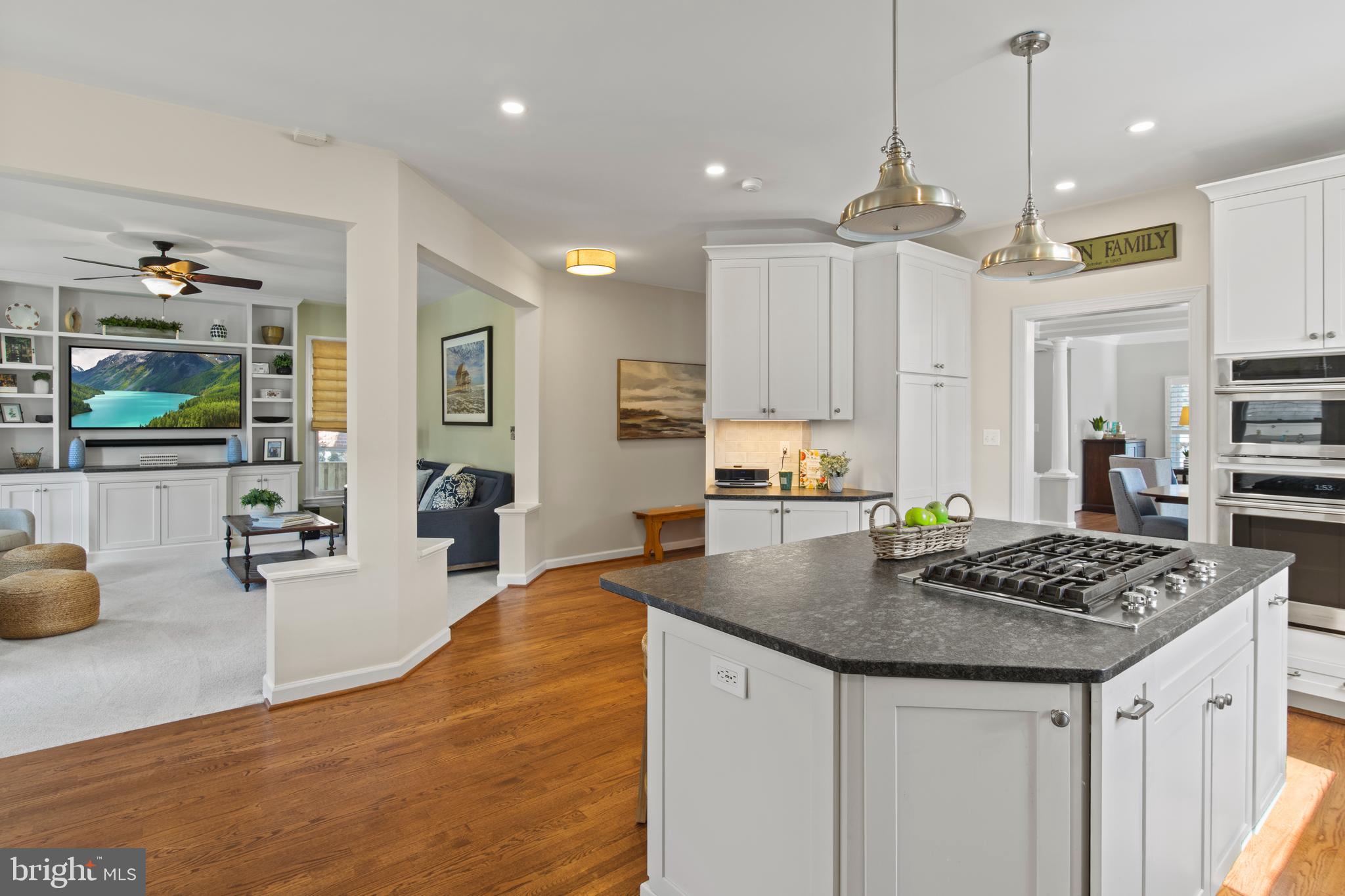 ALTA VISTA TERRACE - Residential