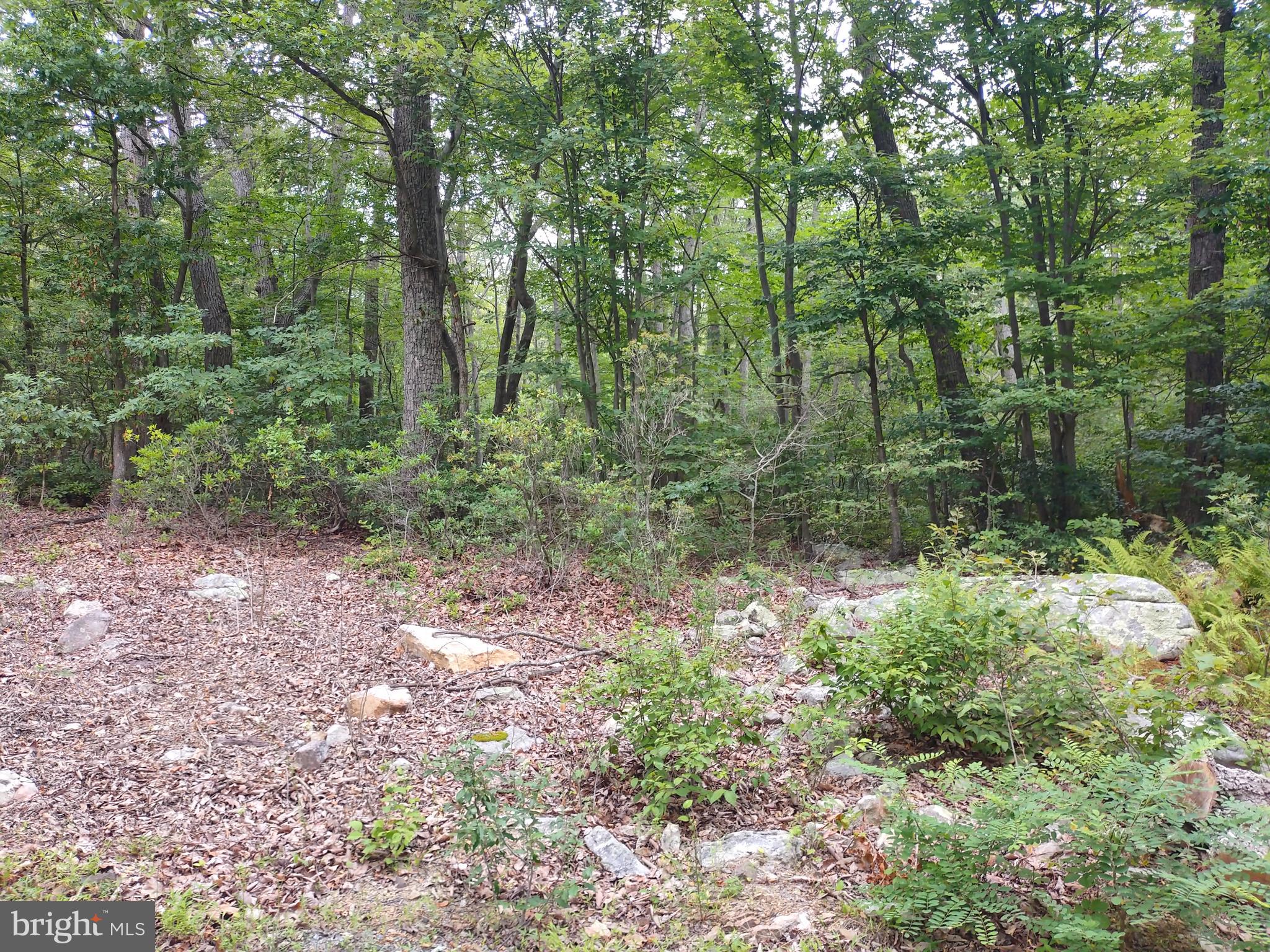 WILDE ACRES/ MTN FALLS - Land