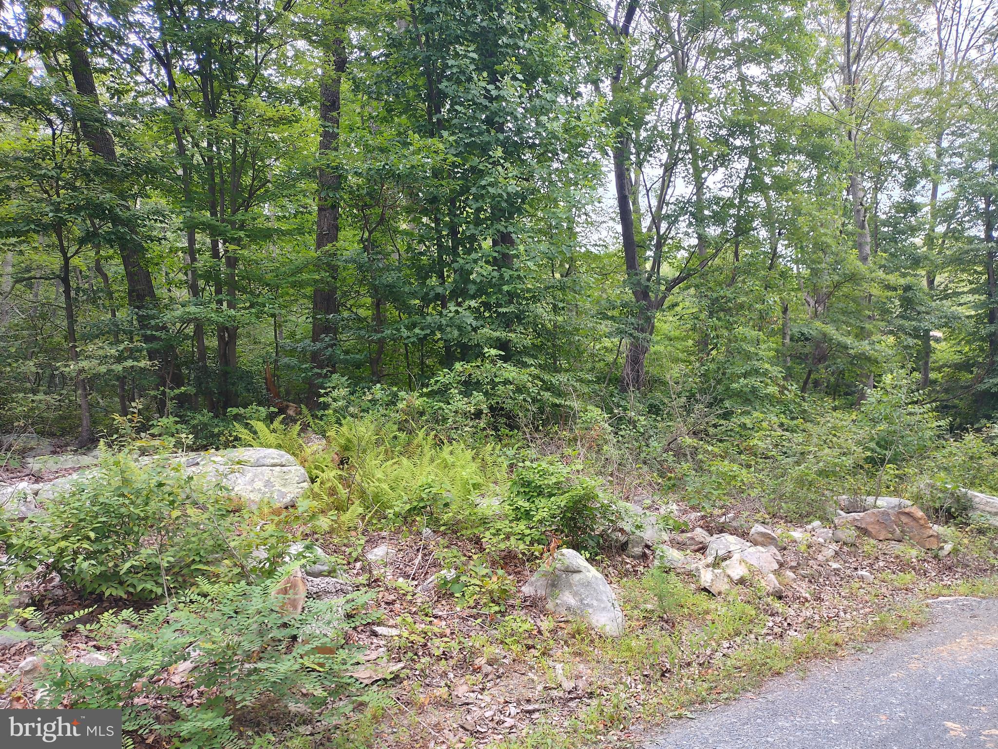 WILDE ACRES/ MTN FALLS - Land